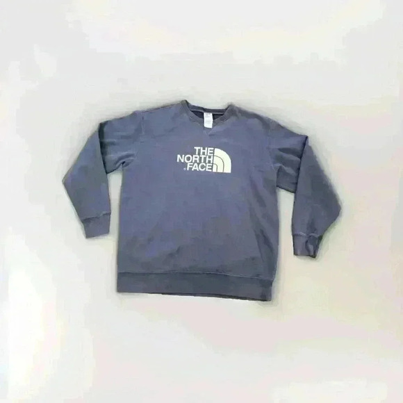 The North Face Hoodie Sweatshirt Mens Size Large Blue Pull Over Cotton 4500 - Picture 1 of 6